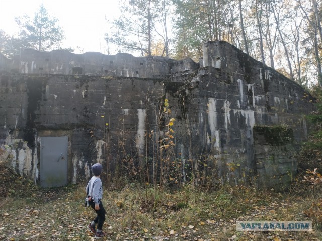 ЯП кругосветка. Этот проект завершился!