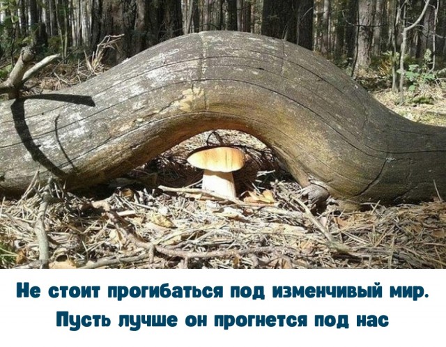 Так себе картинки 17.07.22