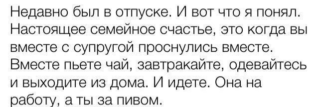 Весёлый полтишок 08.08.22