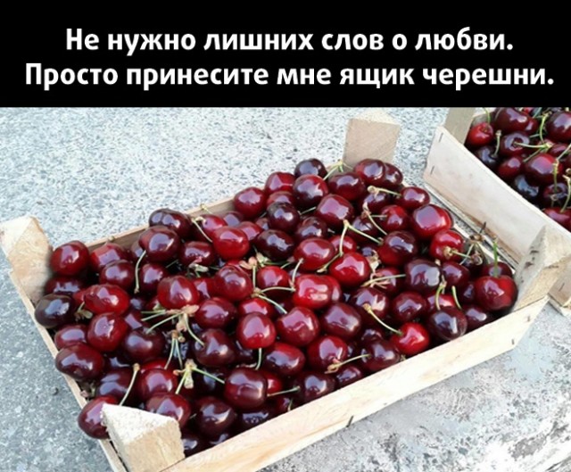 Картинки и мемы для настроения - 11
