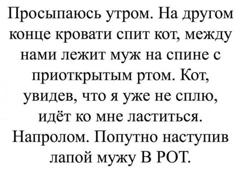 Забавные комментарии из социальных сетей (05.09.22)