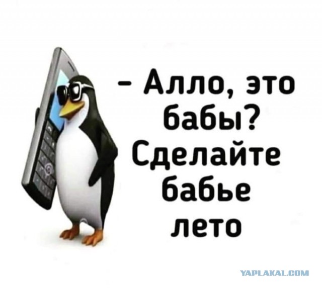 Так себе картинки 22.09.22