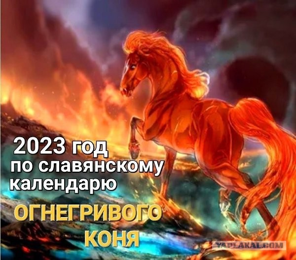 С новым годом - годом "Зайца"