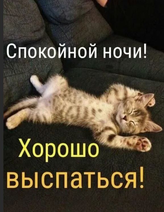 Победная поступь идиотизма по планете – том 8
