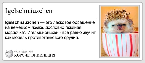 Подкаблучники