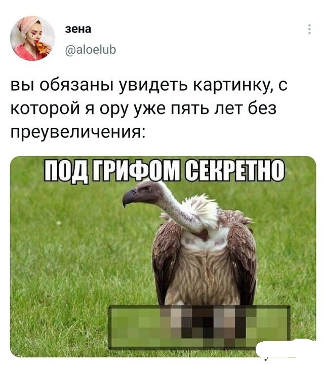Четвёртая подборка самых баянистых баянов! Ностальгируем...