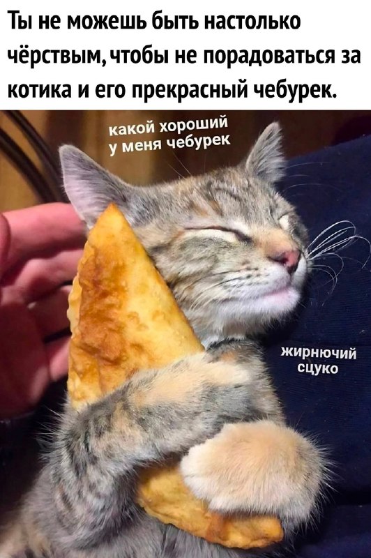 Картинки и мемы, всяко разно - 183