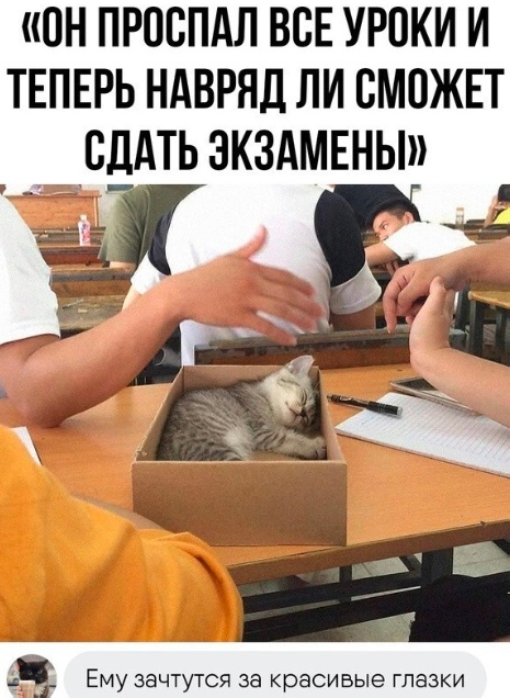 Так себе картинки 17.07.23