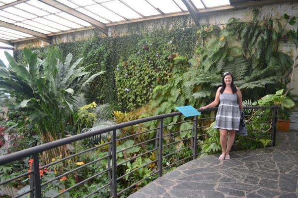 Хочу дачу на канарах!