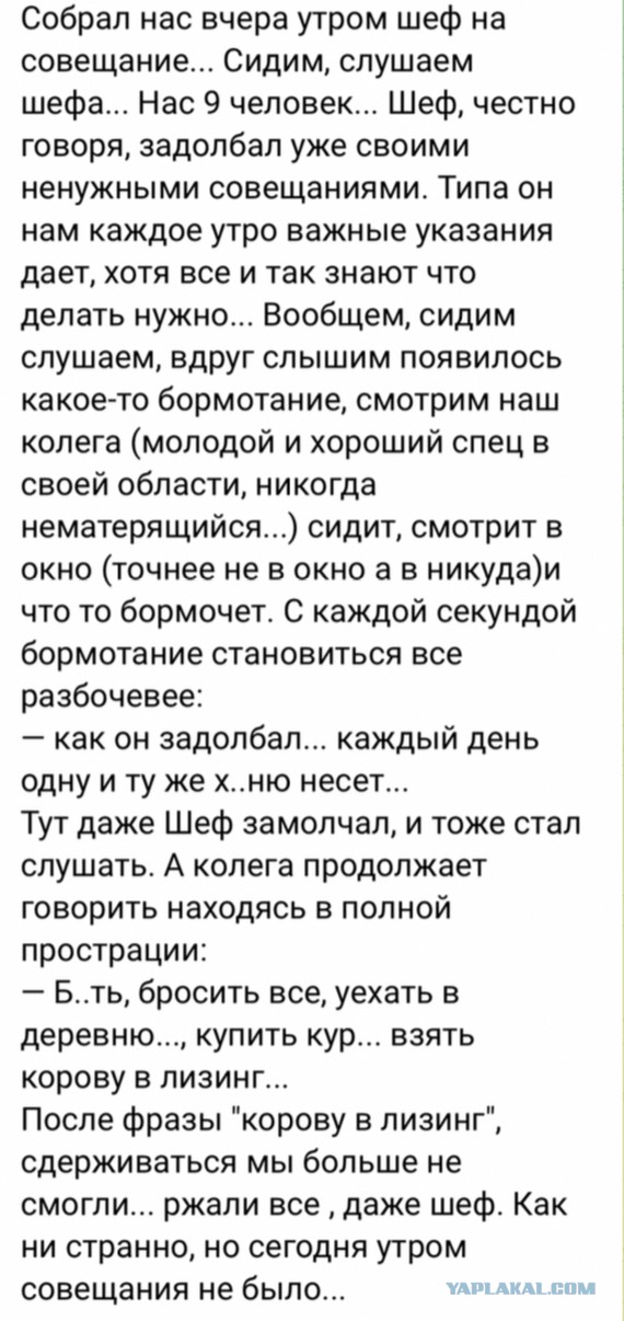 Разговор про сливочное масло