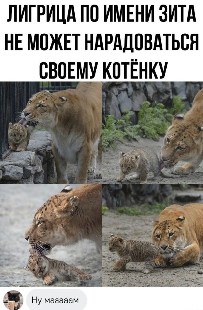 Так себе картинки 13.06.24