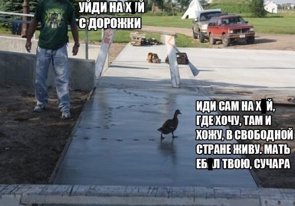 Завалялось тут случайно немного забавных картинок
