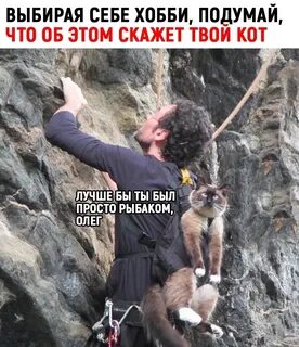 Мы с собакой идём из Самары пешком до Москвы. 1000 километров уже больше 1,5 месяцев