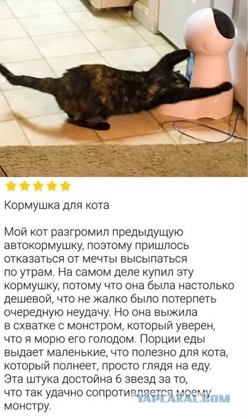 Всего понемногу. От 20.10