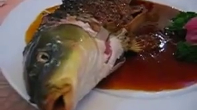 Куда она ест?