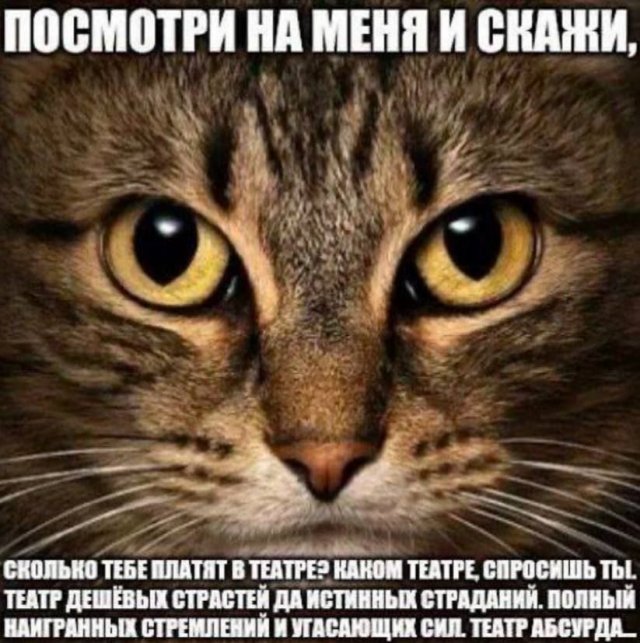 Так себе картинки 13.01.25