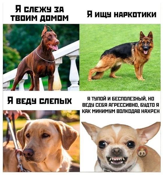 Завалялось тут случайно немного забавных картинок