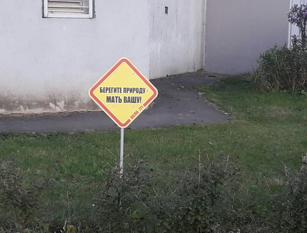 Так себе картинки 07.09.25