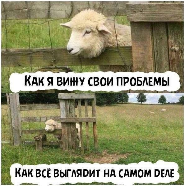 Субботние картинки