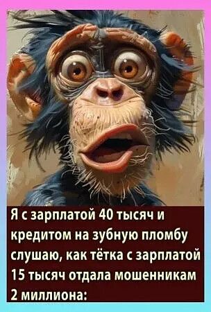 Картинки для деградации 134 (разной степени свежести)