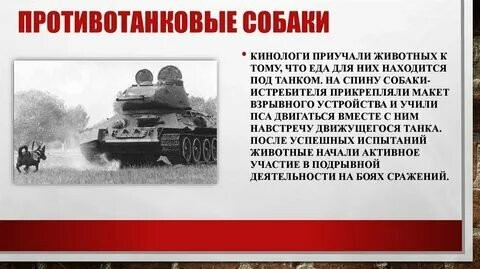 Они служили, спасали и не отступали!