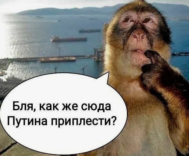 Дед за рулём Nissan переехал ребенка на "зебре" в Чебоксарах