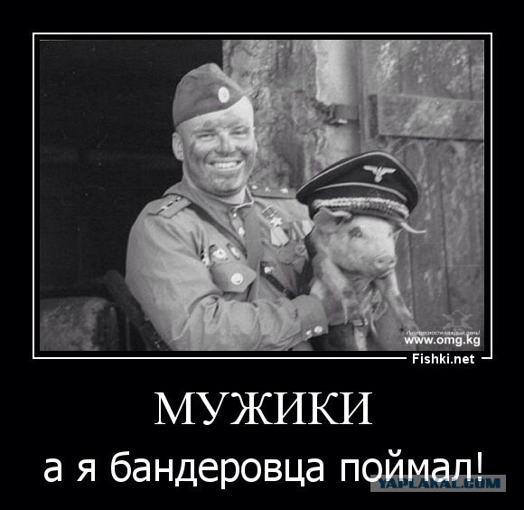 Весь майдан в одной картинке