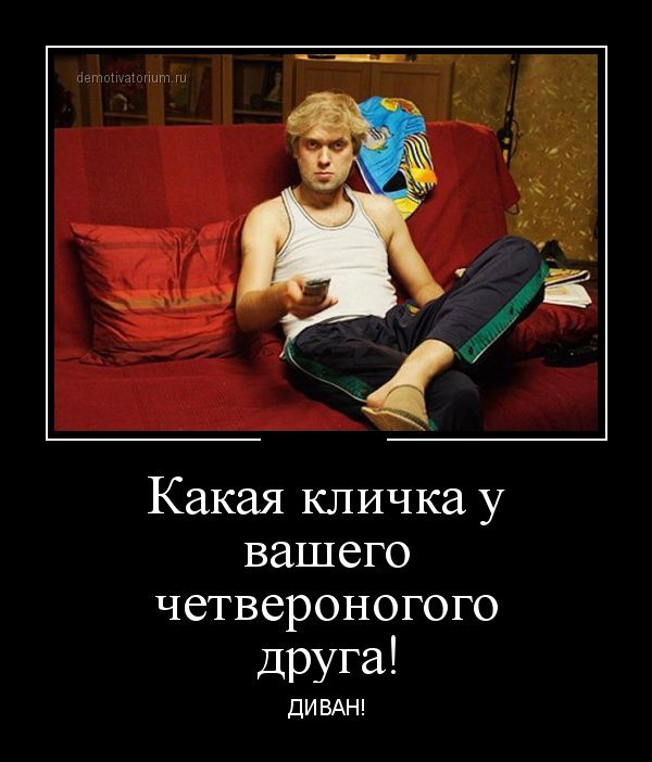 Демотиваторы.