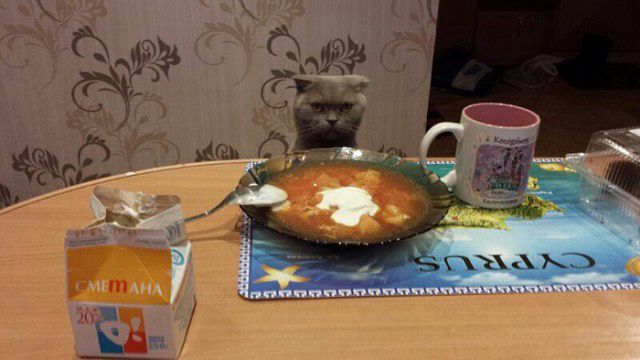 К черту запреты