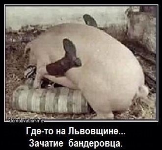 Биатлонистка Пидгрушная Елена Михайловна