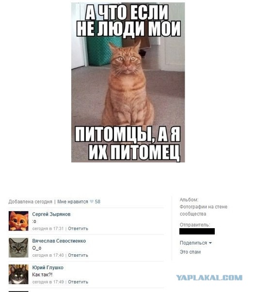 Комментарии и картинки из соц. сетей