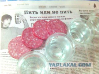 Студенческий быт