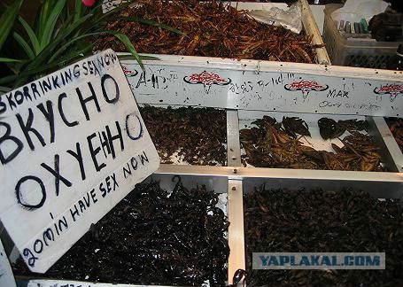 Весёлые картинки