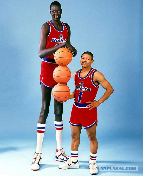 Самые высокие баскетболисты планеты