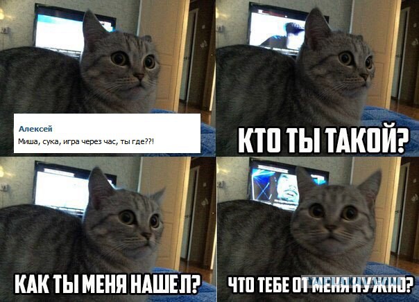 Приколы из соцсетей