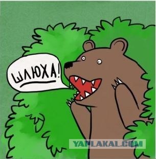 Кисо из приемной Путина и Медведева