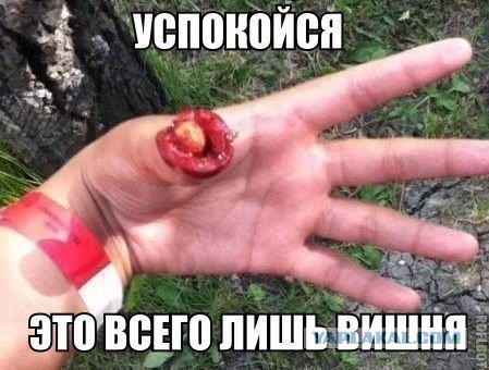 Веселые картинки