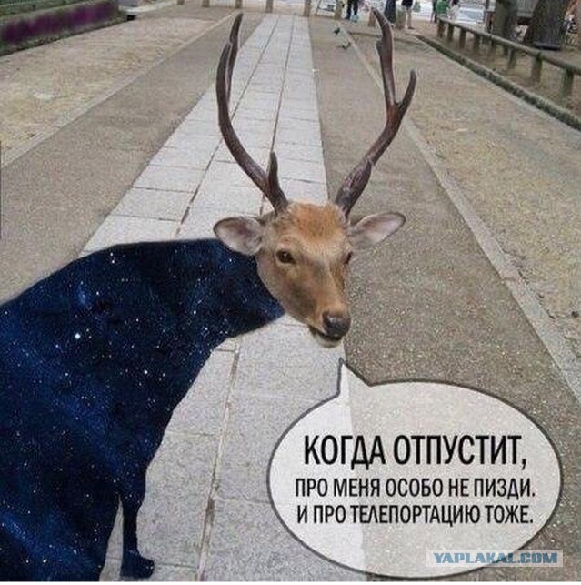 Китайский подросток ушел из дома, чтобы вернуться