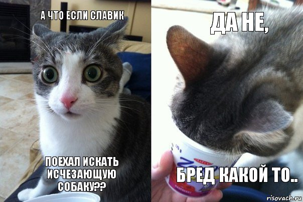 У меня грустные новости для соЯПовца. Слава Новиков тут есть?