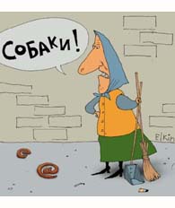 Весёлые картинки