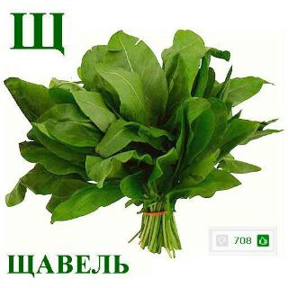 Такая реклама