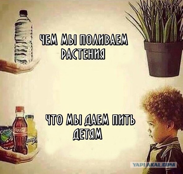 Забавные картинки из Сети