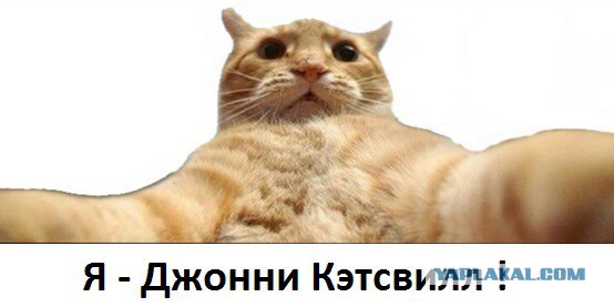 Паранормальное явление 7 или Жирная жопа. Возвращение.