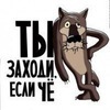 помогите с работой в польше