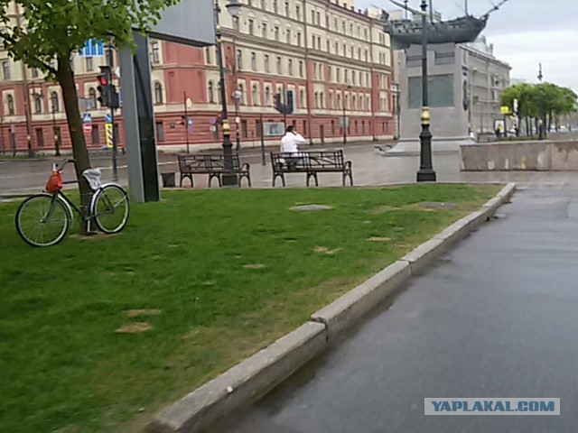 Пучок разных фотографий с телефона.