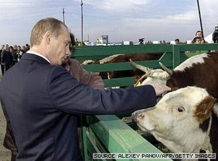 Говядина объявлена "дорогим нишевым продуктом"