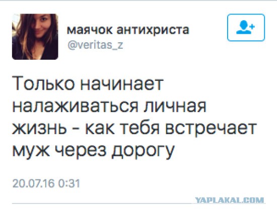 Картинки и приколы из сети