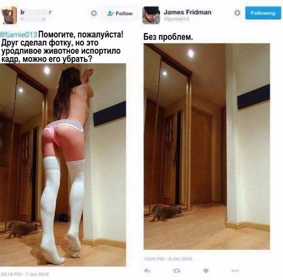 Ужасы и приколы из соцсетей 18+