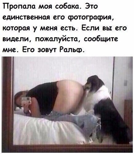 Прикольные картинки