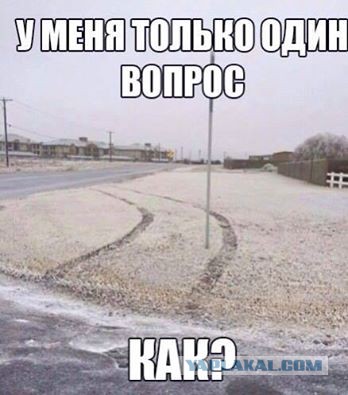 Смешные картинки из сети на 19.11.16